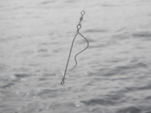 The Shelton Fish Descender is a simple barbless inverted hook design